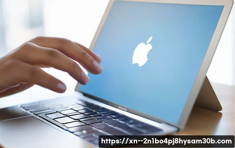 학온동 맥윈도우 부트캠프_bootcamp 재설치 포맷  초기화 관련 이미지 1