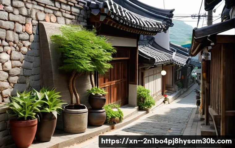 안국동 STATUS_MEMORY_VIOLATION 관련 이미지 2