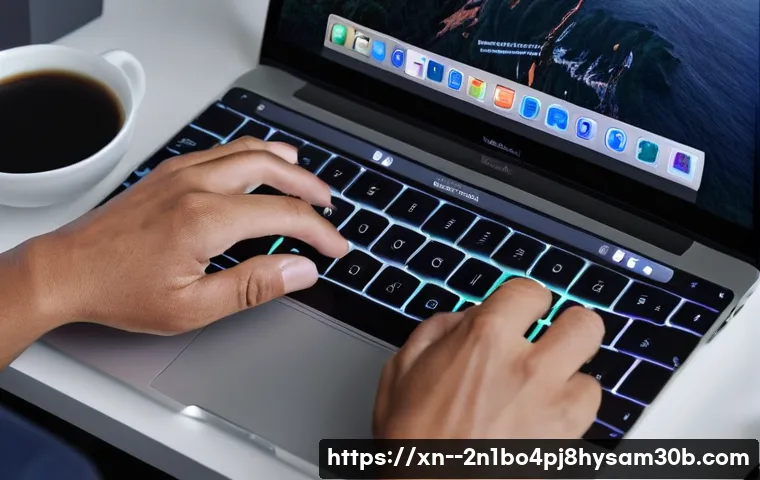 신길동 macosX재설치 포맷  초기화 관련 이미지 1