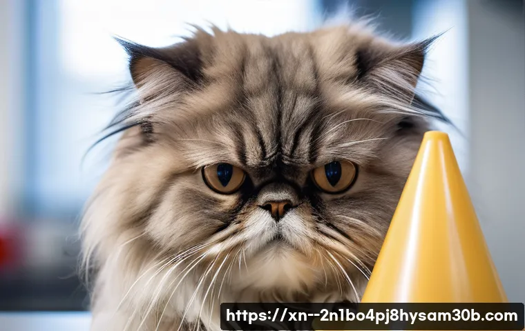 동대문 CLOCK_WATCHDOG_TIMEOUT 관련 이미지 2