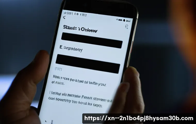 공항동 STATUS_MEMORY_OVERFLOW 관련 이미지 1