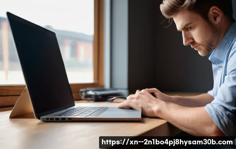 능곡동 STATUS_INVALID_DEVICE_REQUEST 관련 이미지 2