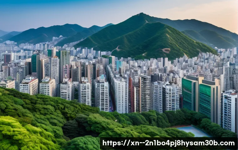 염곡동 STATUS_INVALID_DISPOSITION, 모르면 손해 볼 뻔한 중요 정보 1