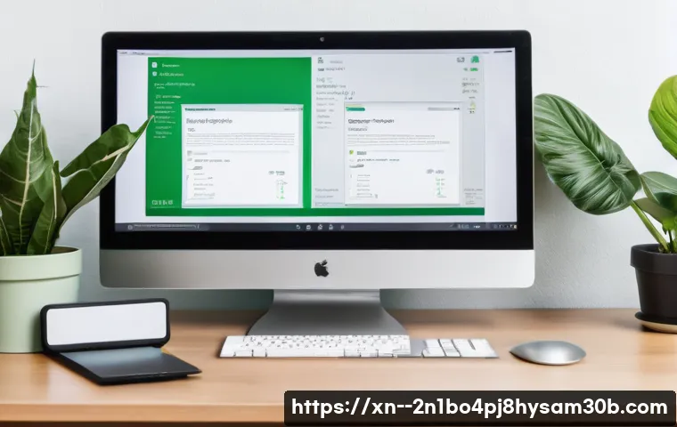 마장동 STATUS_IO_ERROR 관련 이미지 2