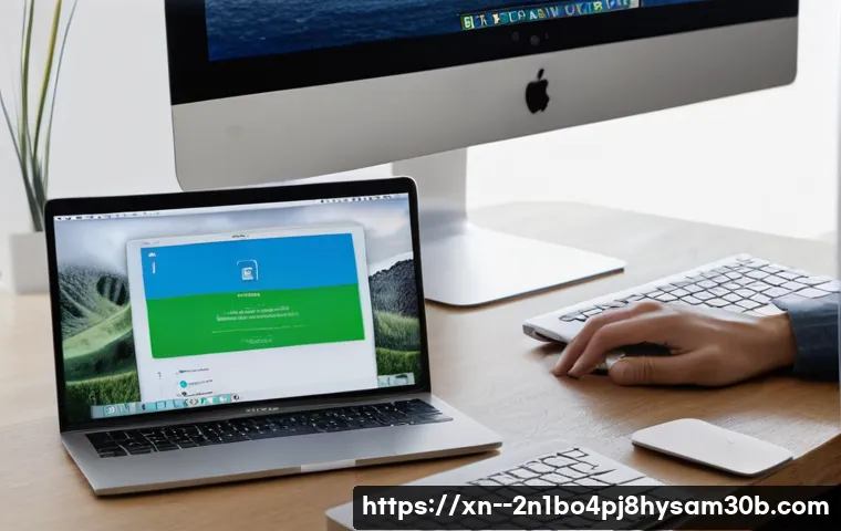 구로구 맥윈도우 부트캠프_bootcamp 재설치 포맷  초기화 관련 이미지 1