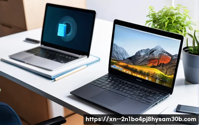 신내동 IO_DEVICE_ERROR 관련 이미지 2