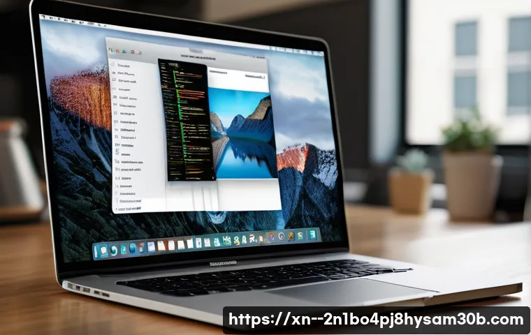 쌍령동 맥윈도우 부트캠프_bootcamp 재설치 포맷  초기화 관련 이미지 1