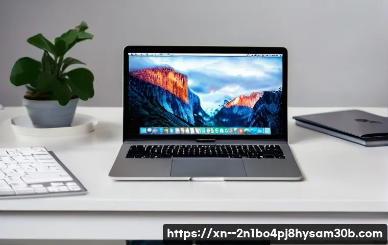 숭인동 맥윈도우 부트캠프_bootcamp 재설치 포맷  초기화 관련 이미지 2