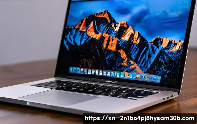 홍대 부트캠프설치 관련 이미지 1