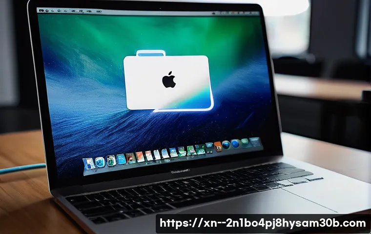 흥도동 macosX재설치 포맷  초기화 관련 이미지 1