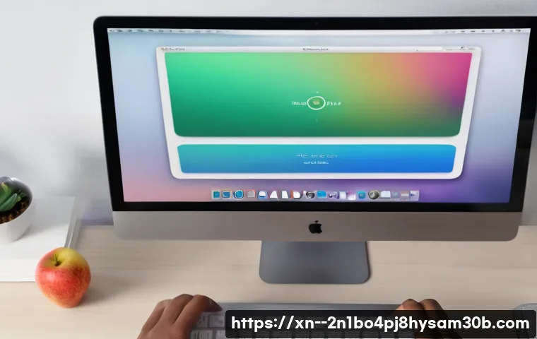 흥도동 macosX재설치 포맷  초기화 관련 이미지 2