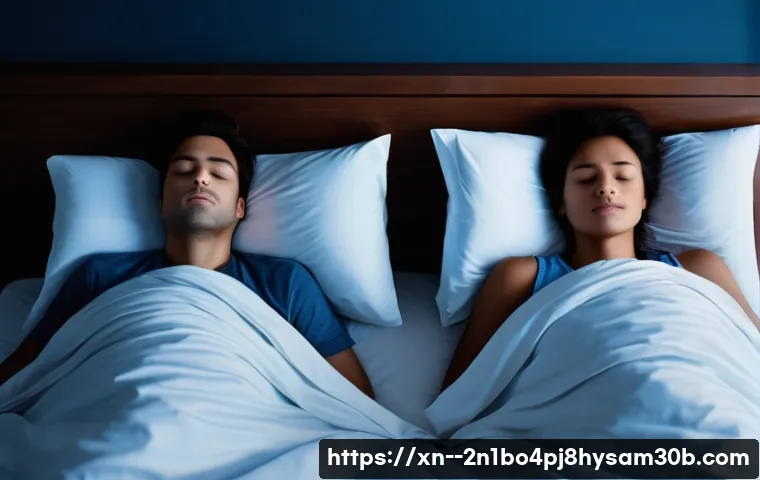 남현동 STATUS_MEMORY_OVERFLOW 관련 이미지 2