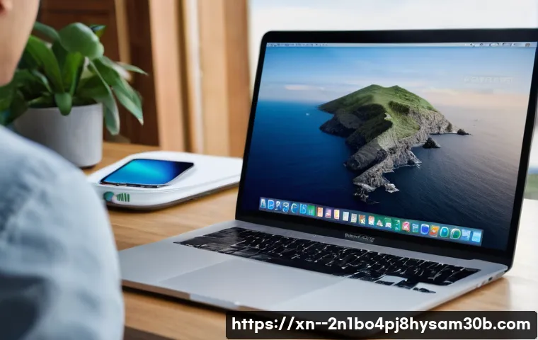 홍익동에서 쉽게 따라하는 macOS 재설치와 포맷 완전 정복 꿀팁 3 홍익동 macosX재설치 포맷 초기화 관련 이미지 1
