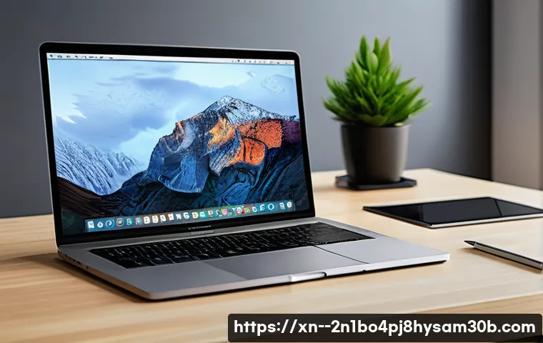 상면 맥윈도우 부트캠프_bootcamp 재설치 포맷  초기화 관련 이미지 1