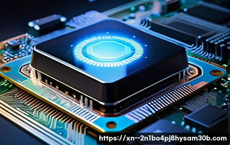 도척면 HAL_INITIALIZATION_FAILED 관련 이미지 1