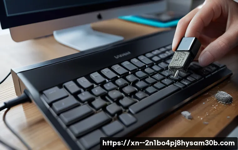 궁동 IO_DEVICE_ERROR 문제 완벽 해결하는 5가지 핵심 팁 5