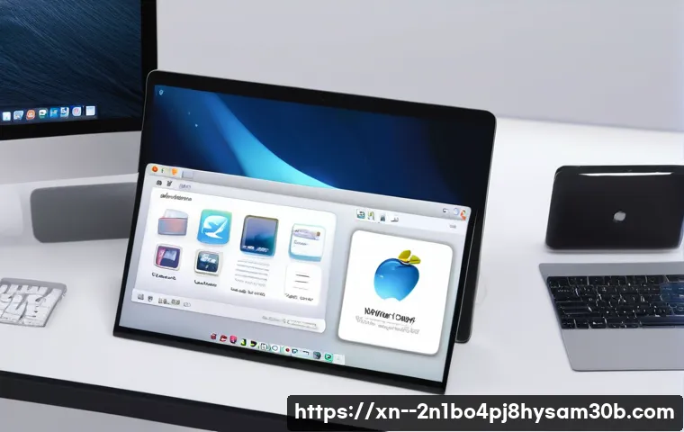 양천구 맥윈도우 부트캠프_bootcamp 재설치 포맷  초기화 관련 이미지 1