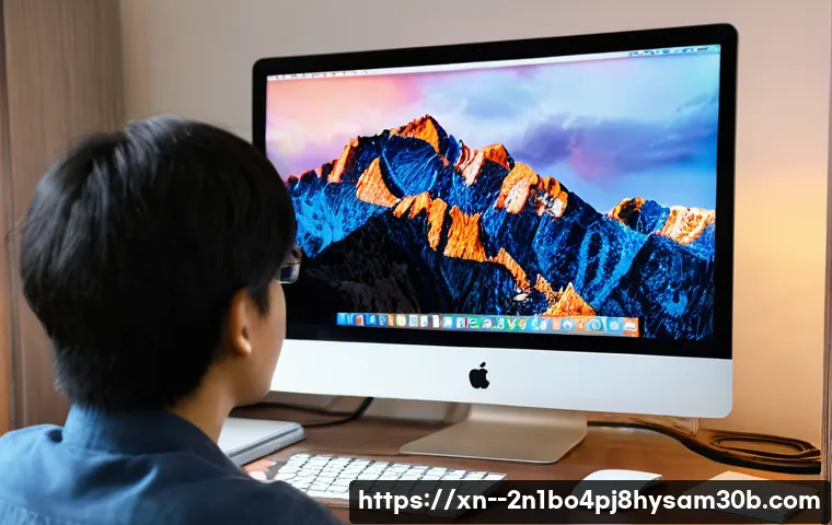 신대방 macosX재설치 포맷  초기화 관련 이미지 2