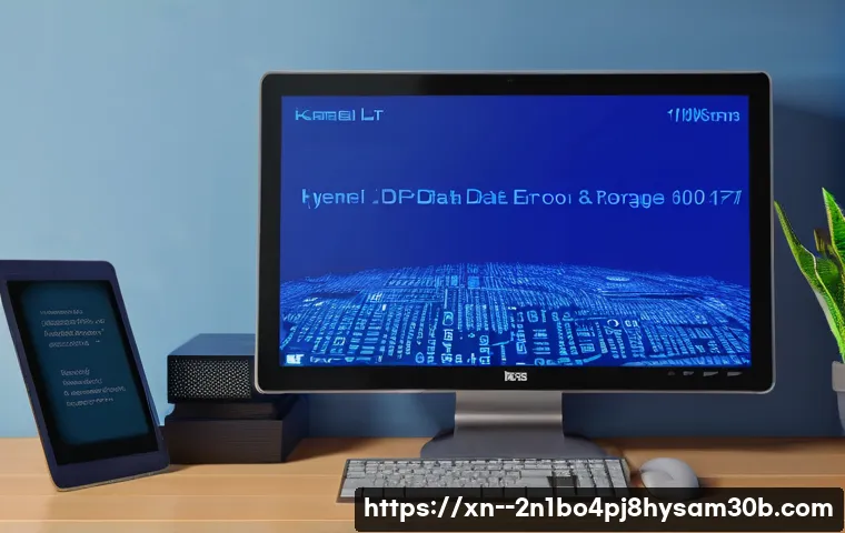 안암동 KERNEL_DATA_INPAGE_ERROR 관련 이미지 1