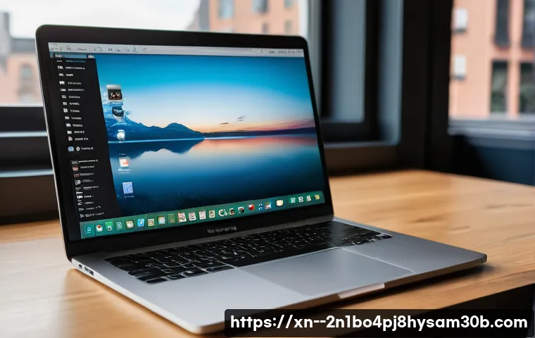 문봉동 맥윈도우 부트캠프_bootcamp 재설치 포맷  초기화 관련 이미지 2