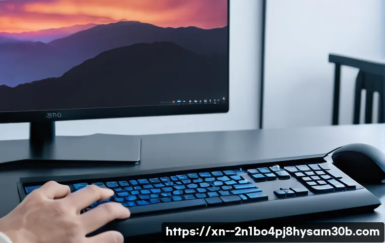 천호동 입력신호가 없습니다 관련 이미지 2