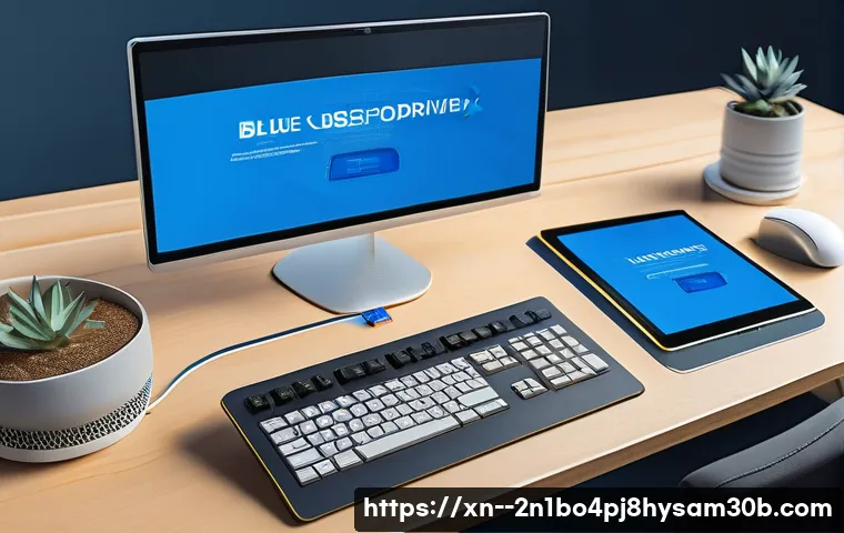 도선동 BUGCODE_USB_DRIVER 관련 이미지 1