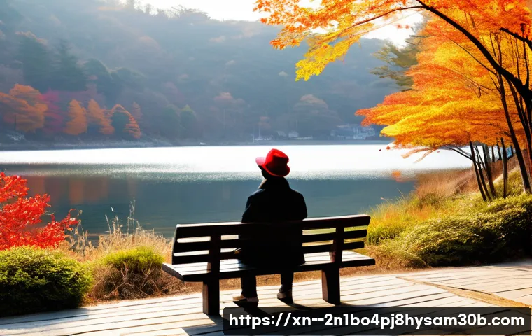 가평군 팬돌다 멈춤 관련 이미지 1