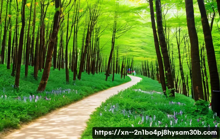 가평군 팬돌다 멈춤 관련 이미지 2