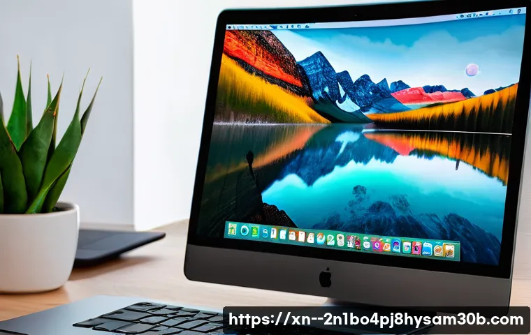 종로구 맥윈도우 부트캠프_bootcamp 재설치 포맷  초기화 관련 이미지 2