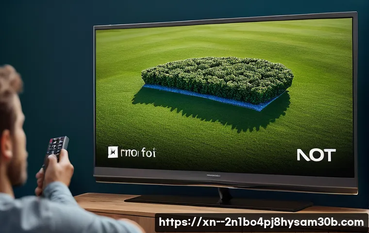 아현동 입력신호가 없습니다 관련 이미지 1