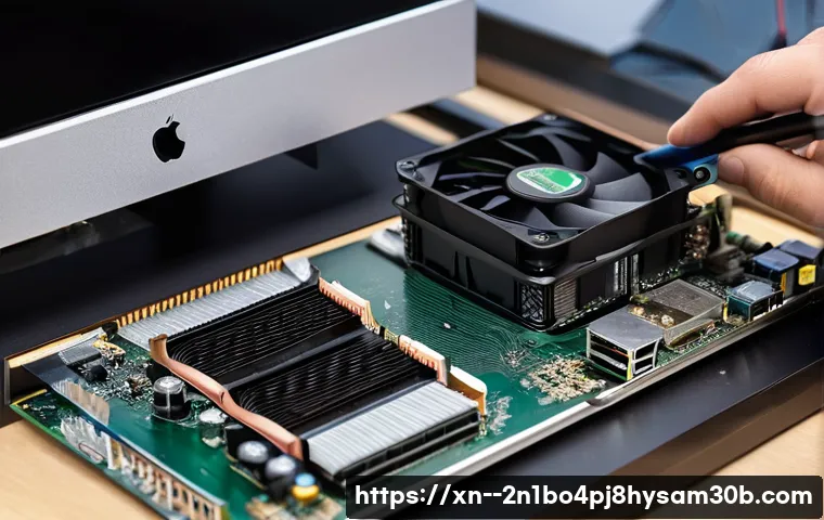 광명동 입력신호가 없습니다 관련 이미지 1