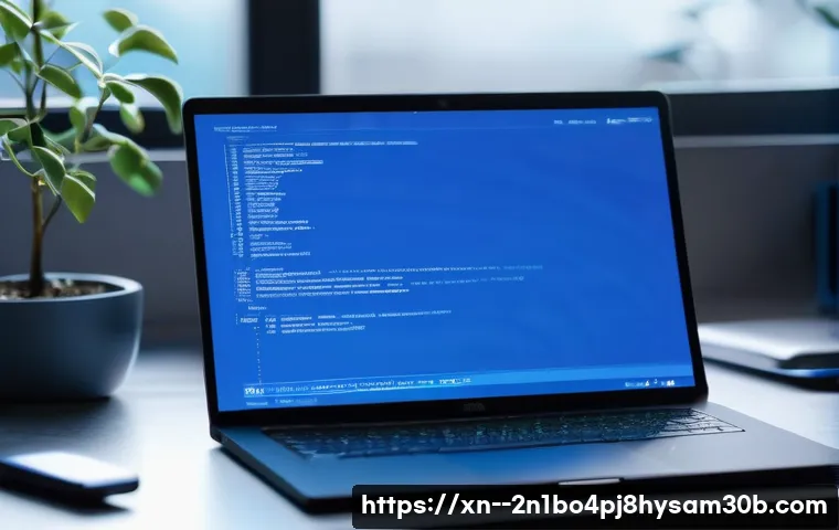 세곡동 블루스크린 관련 이미지 2