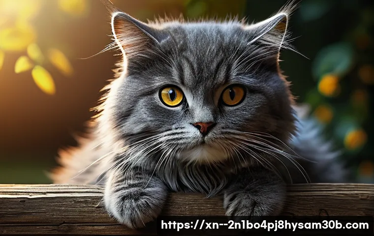 관수동 STATUS_FILE_CORRUPTION 관련 이미지 1