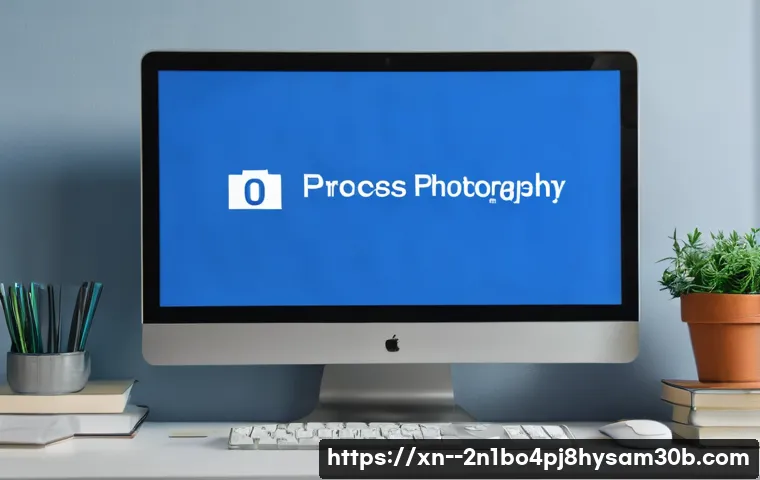 수표동 PROCESS_HAS_LOCKED_PAGES 관련 이미지 1