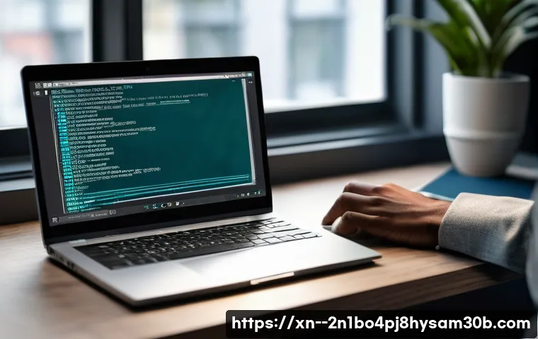 사당동 STATUS_INVALID_IMAGE_FORMAT 관련 이미지 2