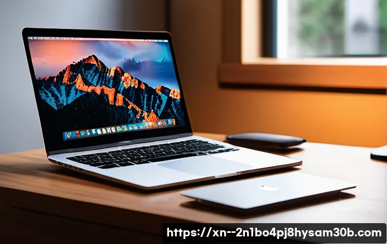 이촌동에서 맥OSX 재설치와 포맷 초기화 완벽 가이드 살펴보기 1