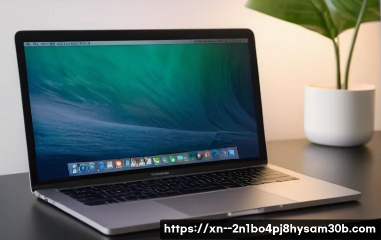 이촌동 macosX재설치 포맷  초기화 관련 이미지 1