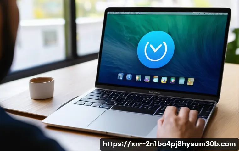 이촌동 macosX재설치 포맷  초기화 관련 이미지 2