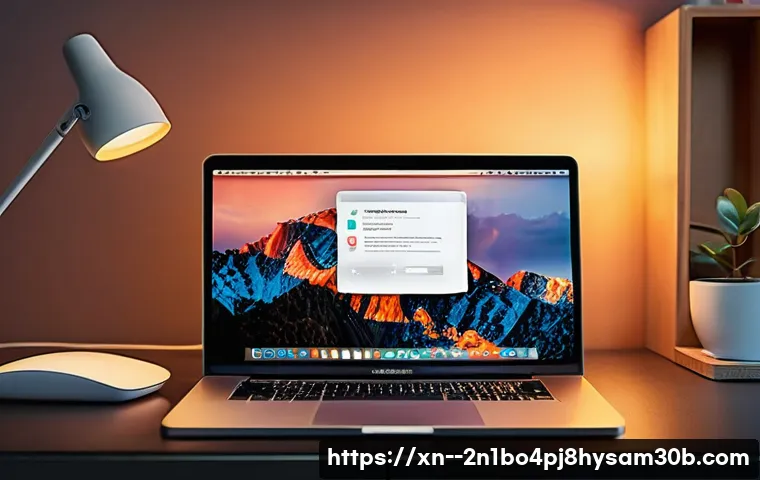 개포동 macosX재설치 포맷  초기화 관련 이미지 2