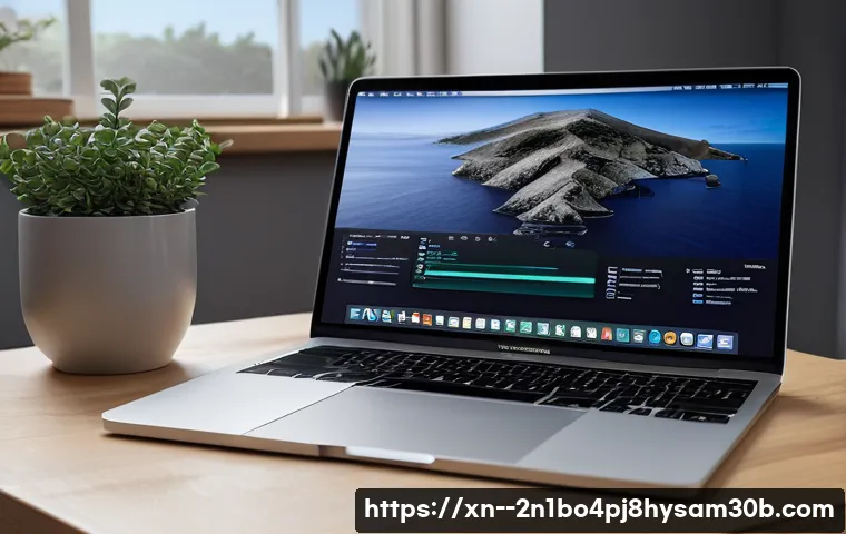 화동 macosX재설치 포맷  초기화 관련 이미지 1