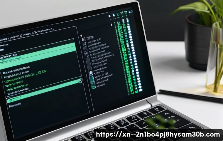 별양동 STATUS_SYSTEM_LICENSE_INVALID 관련 이미지 1