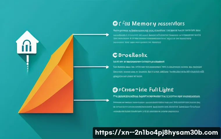 광명동 STATUS_MEMORY_ACCESS_DENIED 관련 이미지 2