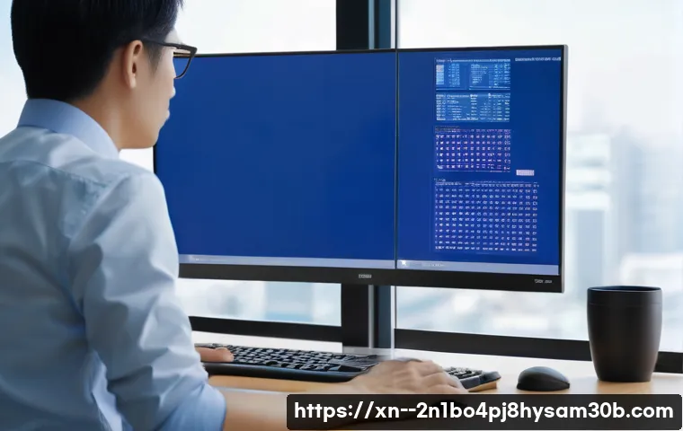 도봉구 PROCESS_HAS_LOCKED_PAGES 관련 이미지 1