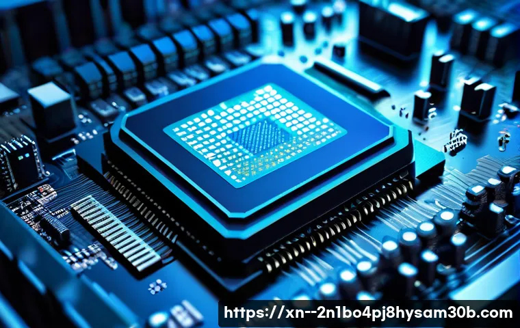 초월읍 STATUS_INVALID_PAGE 관련 이미지 1