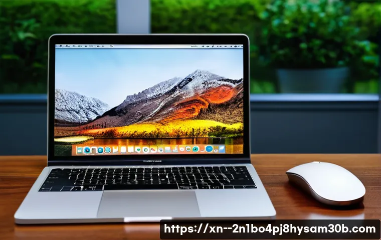 남가좌동 맥윈도우 부트캠프_bootcamp 재설치 포맷  초기화 관련 이미지 2