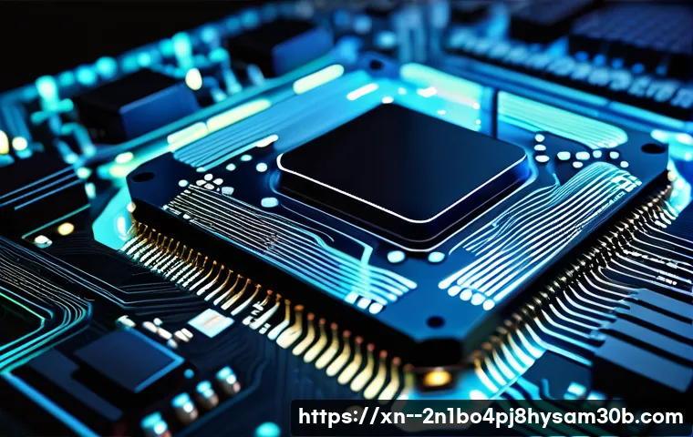 정발산동 STATUS_KERNEL_MEMORY_LEAK 관련 이미지 1