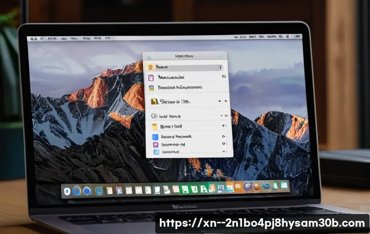 세종로 macosX재설치 포맷  초기화 관련 이미지 1