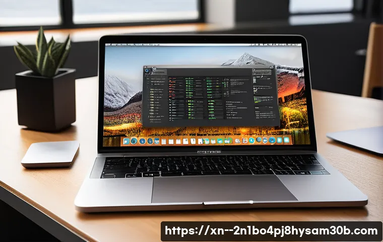 세종로 macosX재설치 포맷  초기화 관련 이미지 2