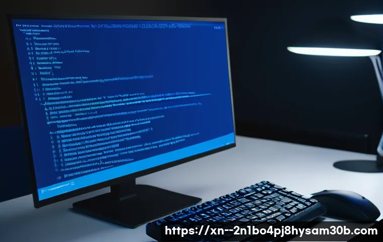 인사동 STATUS_KERNEL_HEAP_CORRUPTION 관련 이미지 1