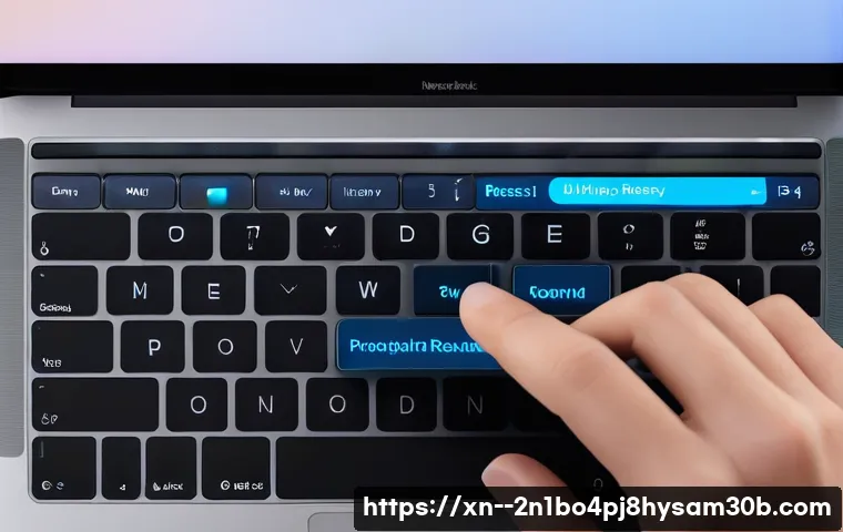 수하동 macosX재설치 포맷  초기화 관련 이미지 1